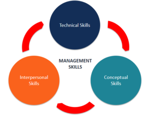 Managerial Skills & Managerial Roles - Types and Examples