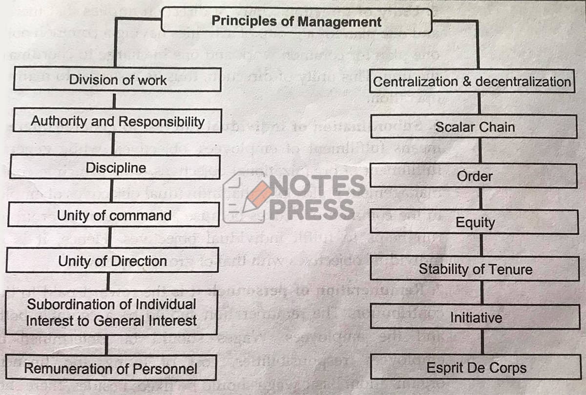 Principles of Management