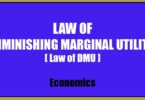 Law of Diminishing Marginal Utility - Law of DMU