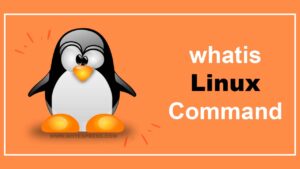 whatis Command in Linux with Examples